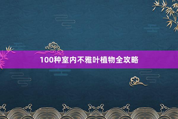 100种室内不雅叶植物全攻略