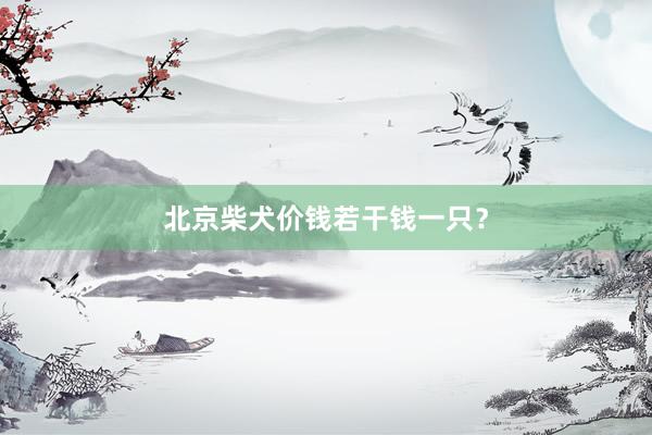 北京柴犬价钱若干钱一只？
