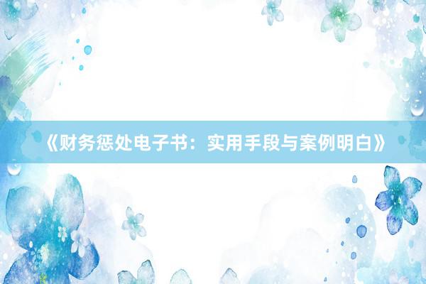 《财务惩处电子书:实用手段与案例明白》